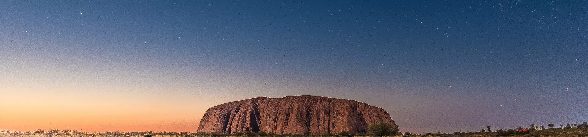 Do you need fly nets in Uluru?