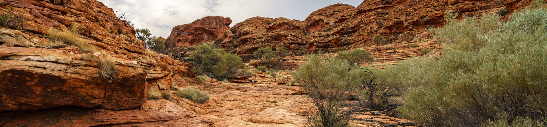 What is the history of Watarrka National Park?