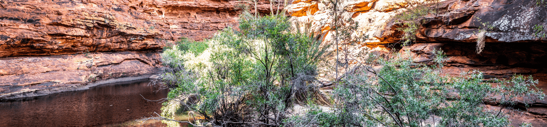 Is it worth visiting the Garden of Eden in Kings Canyon?