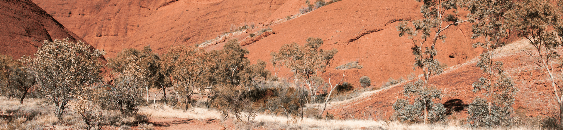 How long is the Uluru Base Walk?