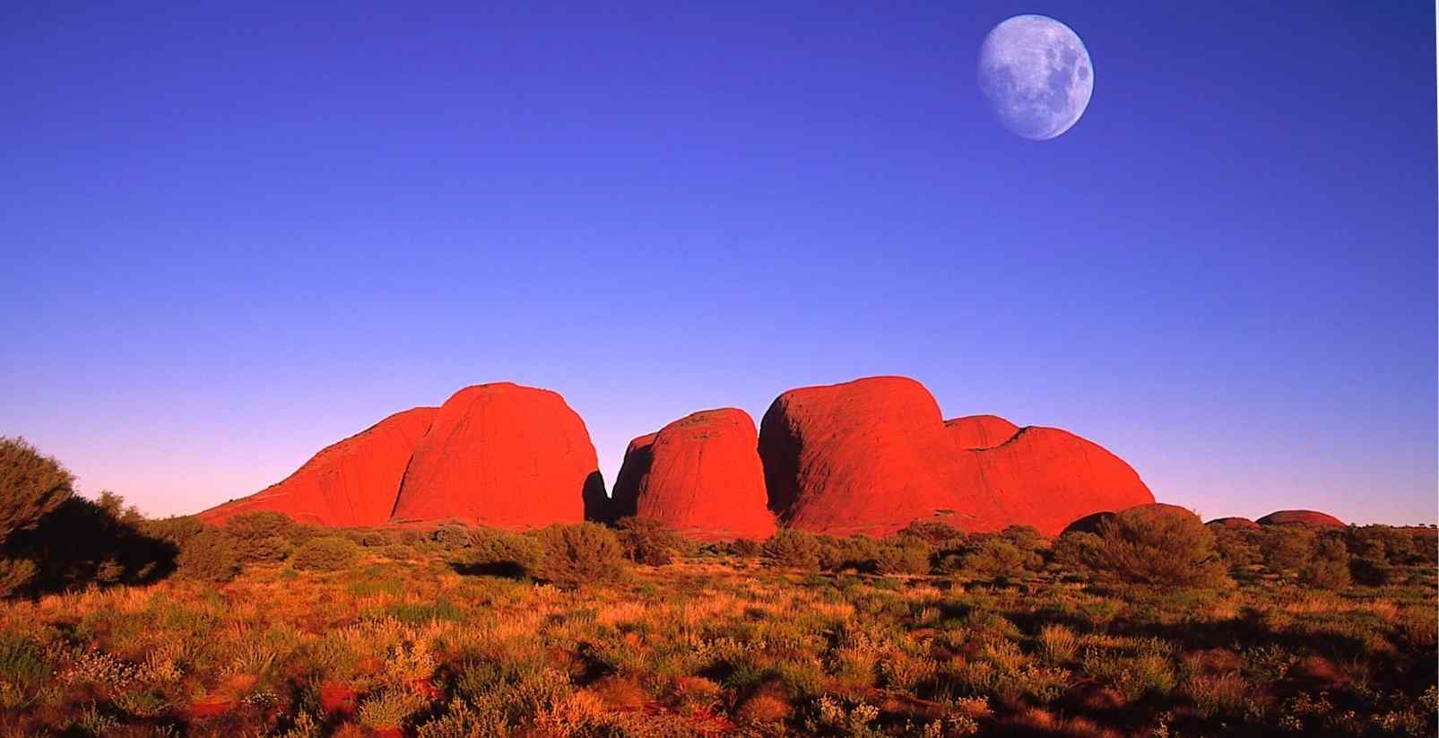 the olgas