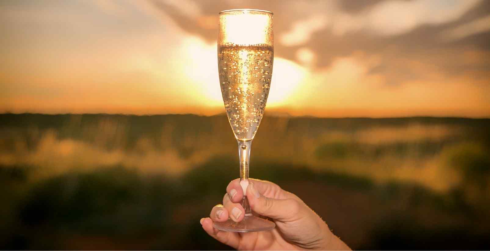 person holding wine glass at sunset