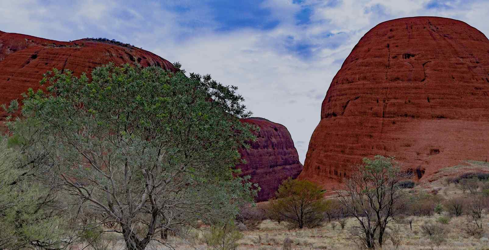 kata tjuta