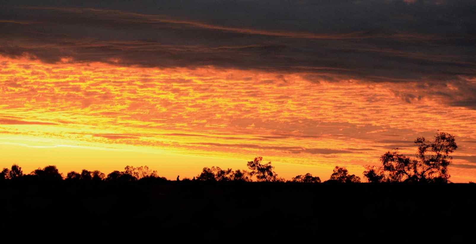 yellow sky at sunset