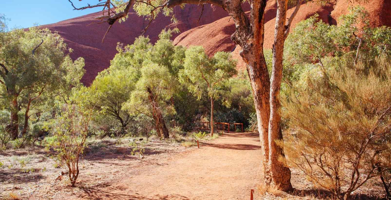 dirt walking path