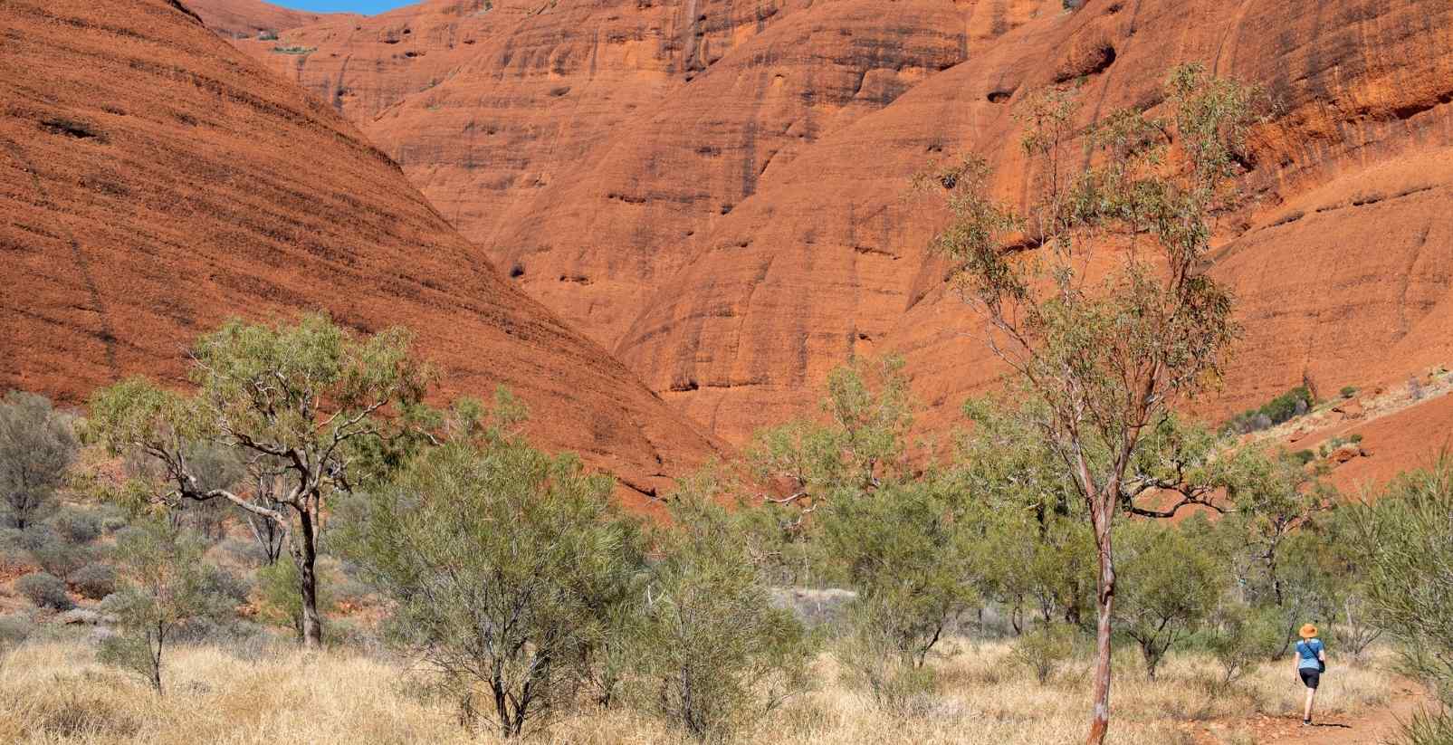 Uluru up close
