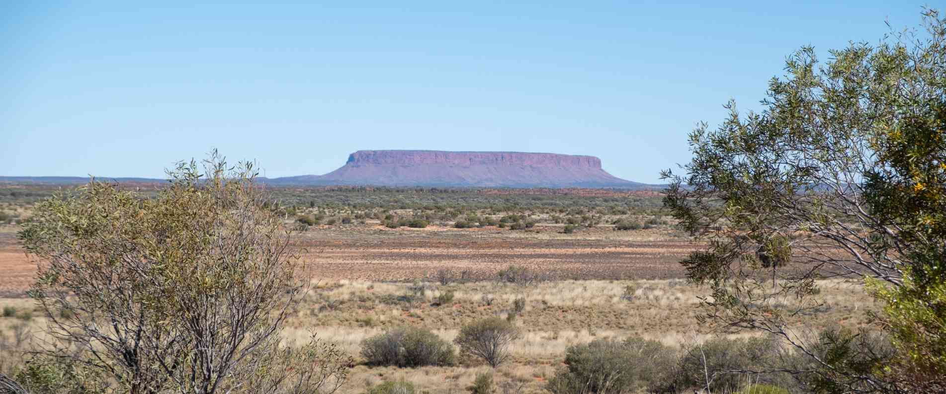Mt Connor