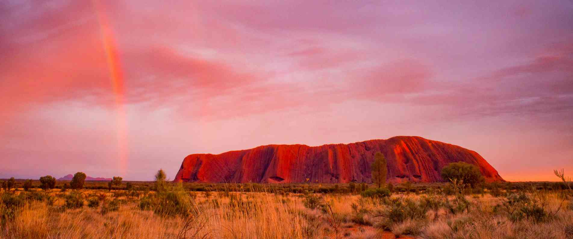 Uluru at sunset with pink skies