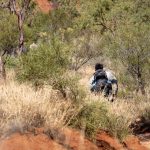 Man hiking through Australian Bush