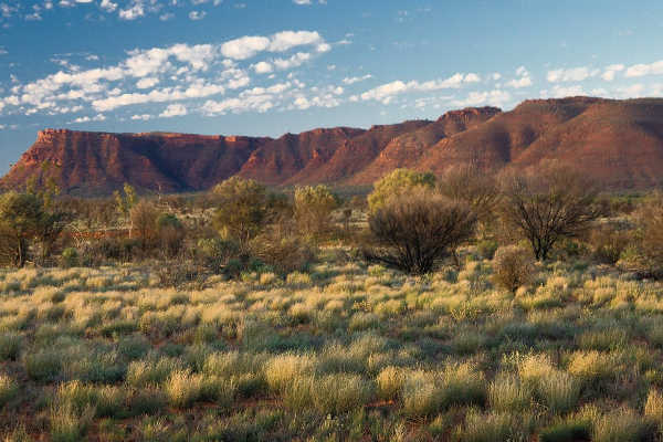 Gill Ranges, Watarrka National Park