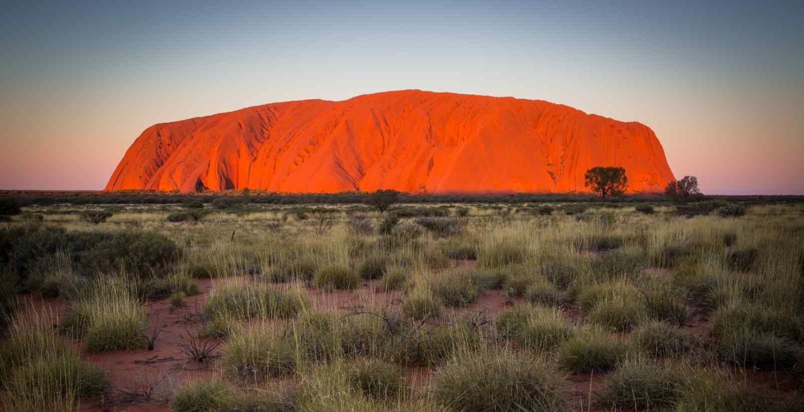 Uluru glowing in the sun