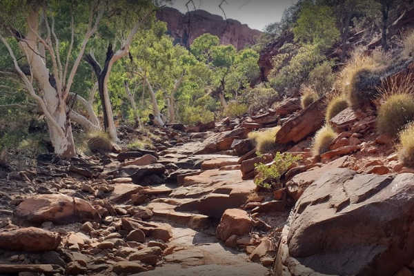 Kings Creek Walk