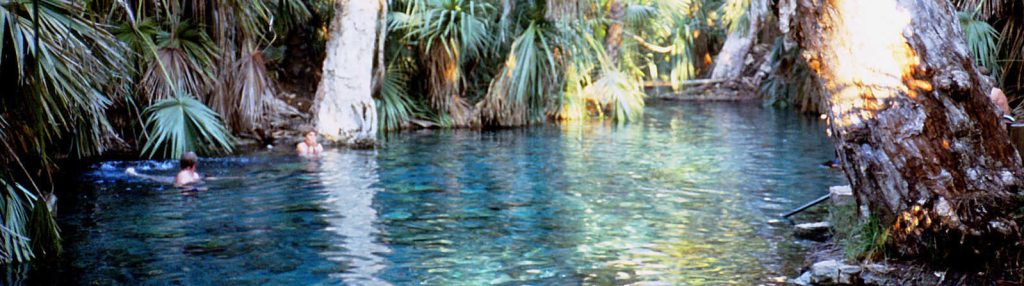 Mataranka Thermal Pool