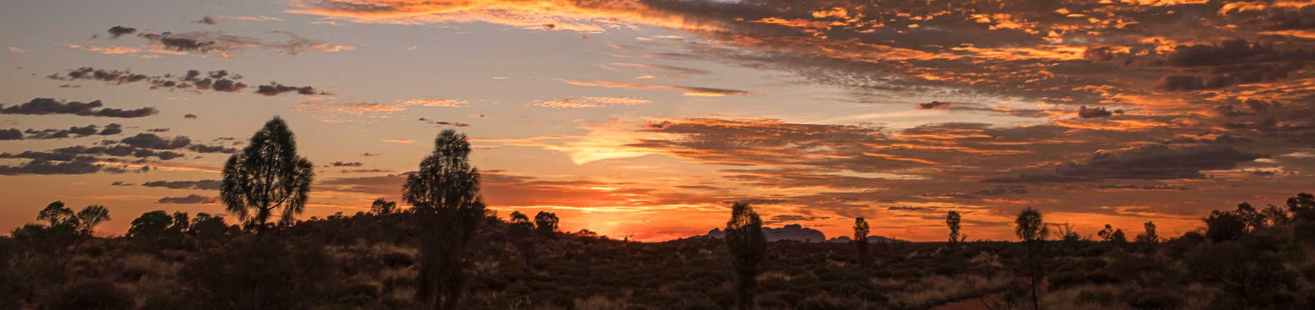 Uluru Sunset