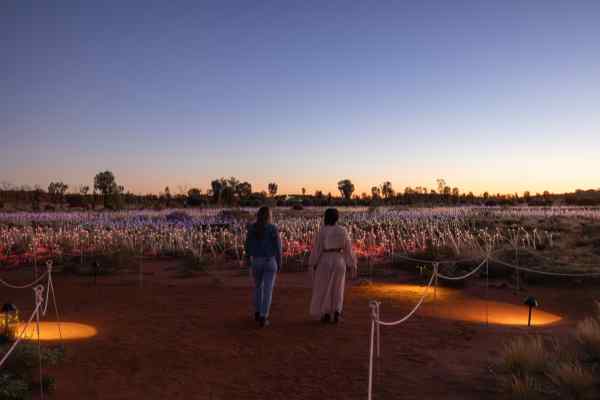 Sunset overlooking the Field of Light in Uluru