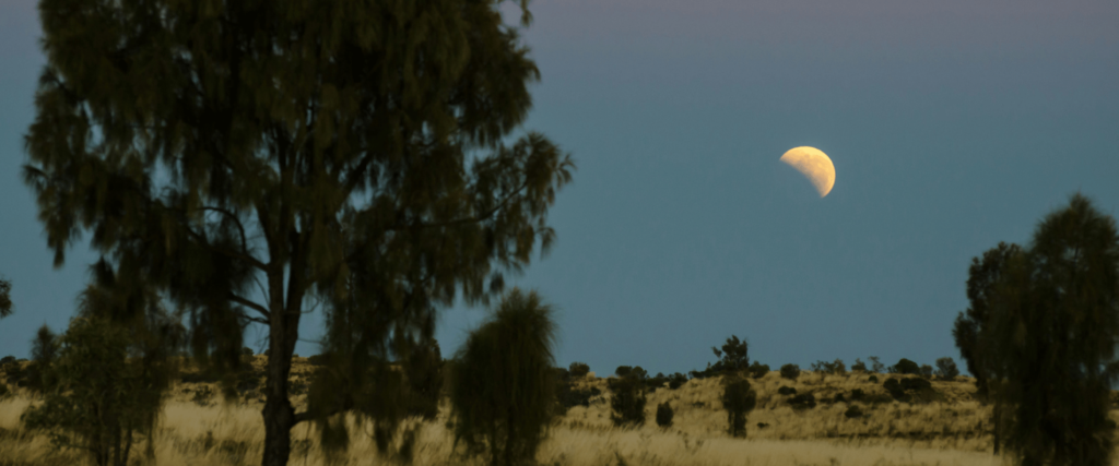 Desert sky at night with half moon
