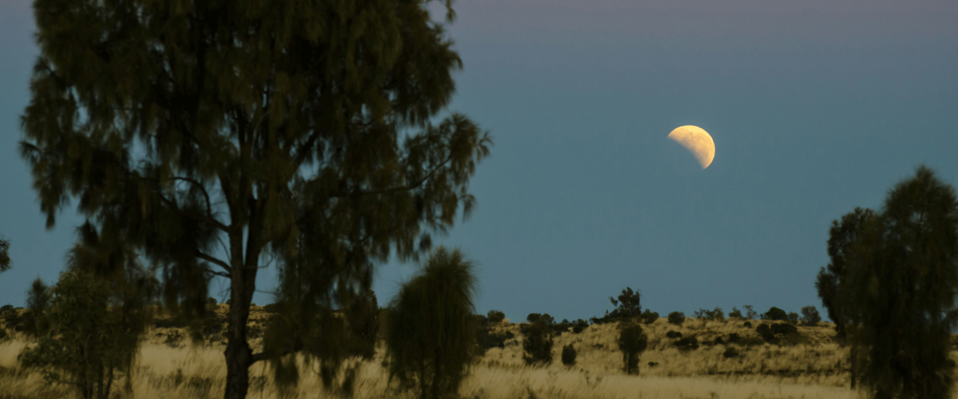 Desert sky at night with half moon